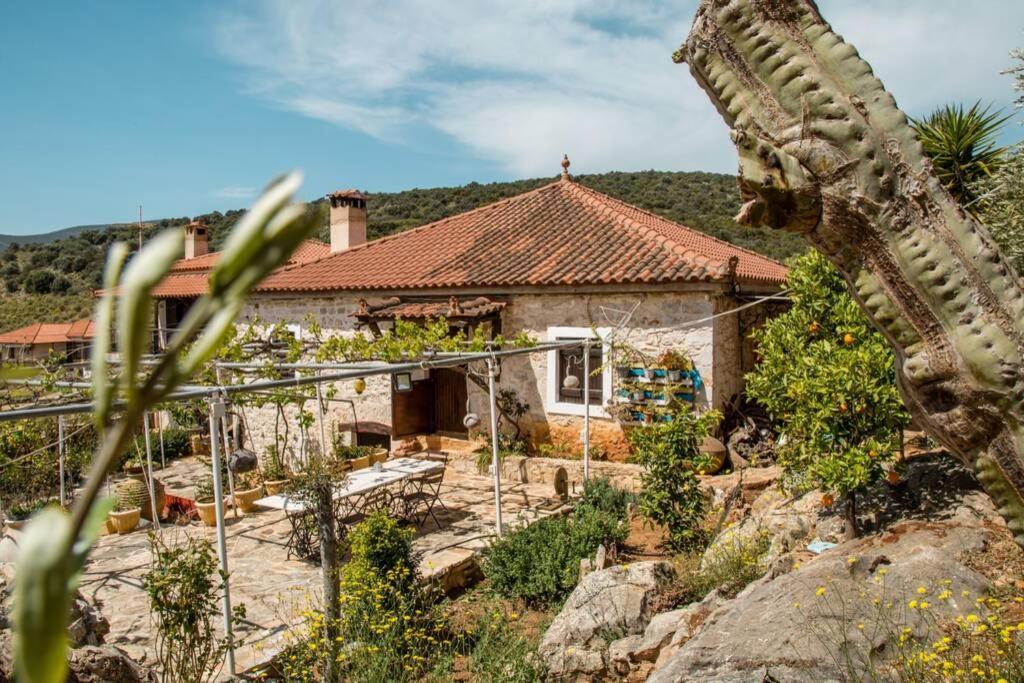 Pontinos Old House Villa มิลอย ภายนอก รูปภาพ