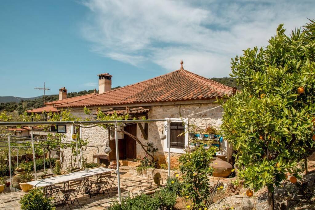 Pontinos Old House Villa มิลอย ภายนอก รูปภาพ